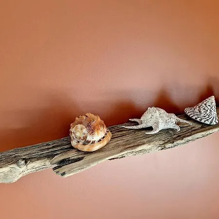 Le Terracotta, Proche * Oye-Plage