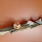 Le Terracotta, Proche * Oye-Plage